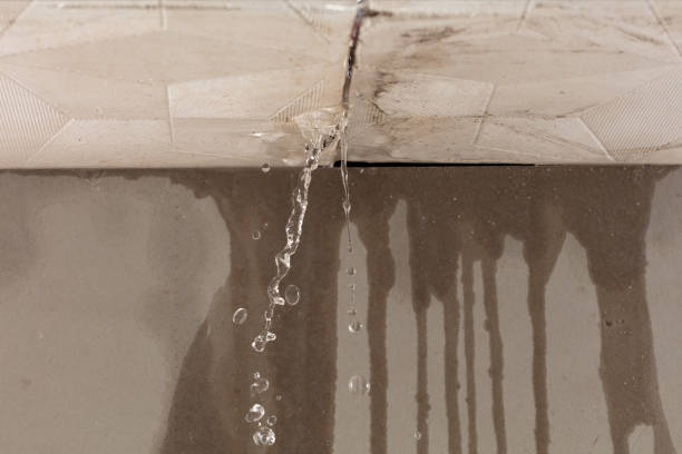 Professional Structural Drying technician working in Kenvil, NJ